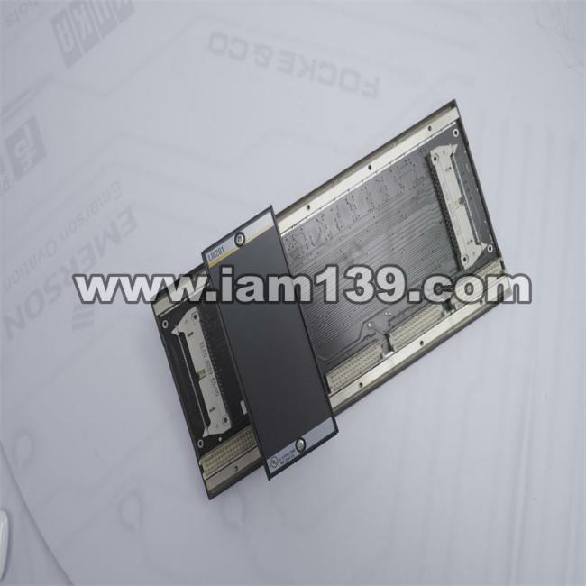 
LM201 B9206 00BS 205 BACHMANN 模块