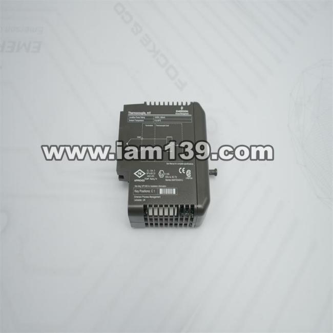 
艾默热电偶模块KJ3002X1-BG2 12P1731X082