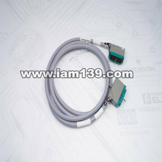 
Triconex输入终端电缆4000094-310