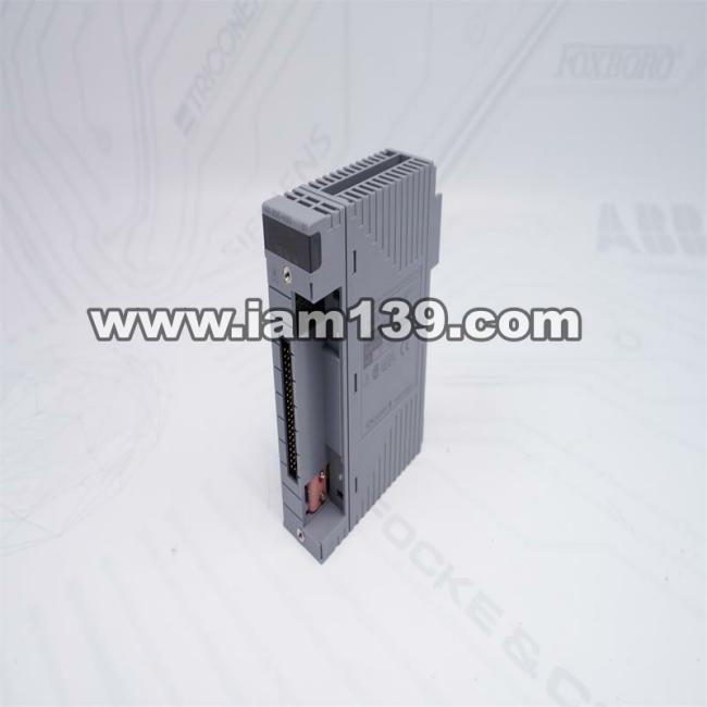 
横河AAI835-H00 S1模拟量输入/输出模块