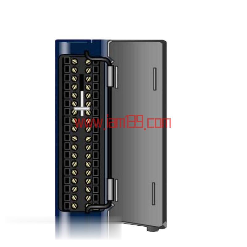 
GE IC694TBB032 工业控制模块端子排