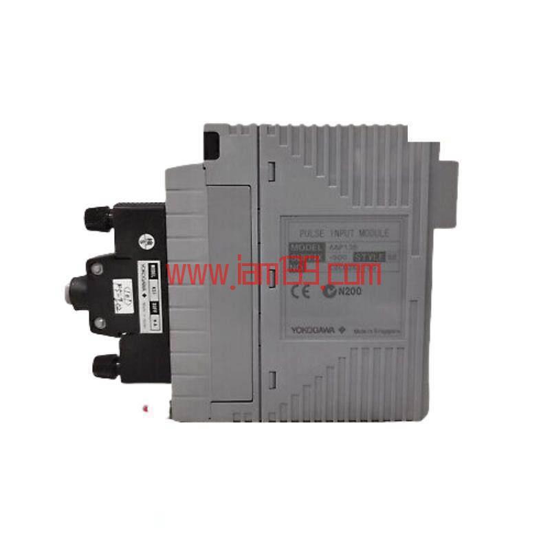 
横河AAP135-S00 S2模拟输入模块 - 高精度信号转换，适用于工业自动化